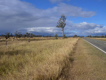 Aufregend wechselhaft