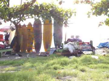 Paradies fuer Surfer