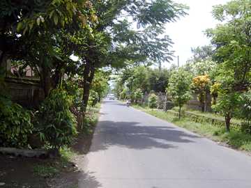Strasse von Ubud nach Denpasar