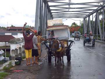 Pferdekutschen in Ampenan