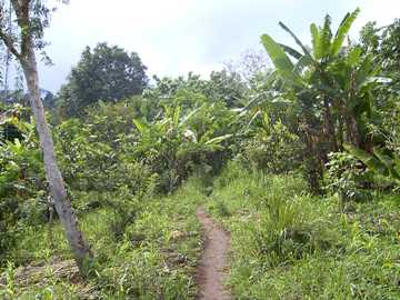 Weg zum Gunung Rinjani
