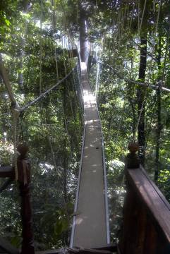 Auf der Haengebruecke